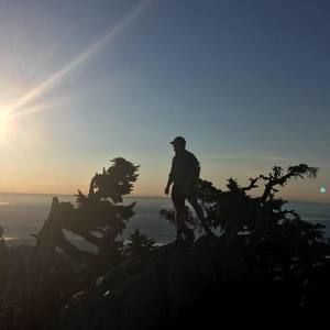 Meet your Posher, Cole